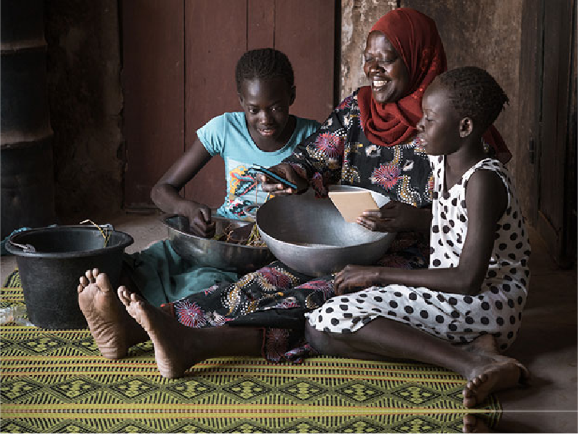 Délégation générale à la Protection sociale et à la Solidarité nationale (DGPSN)