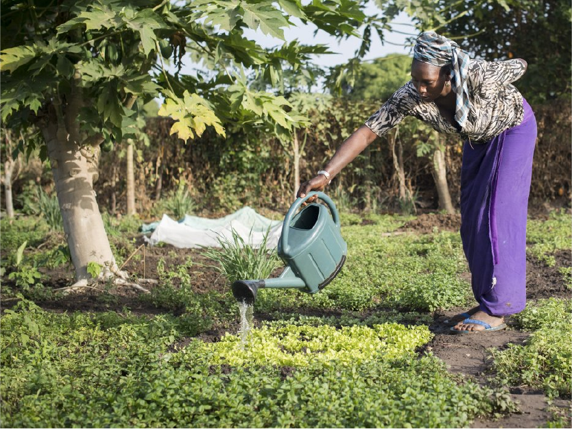Commissariat à la Sécurité alimentaire (CSA)