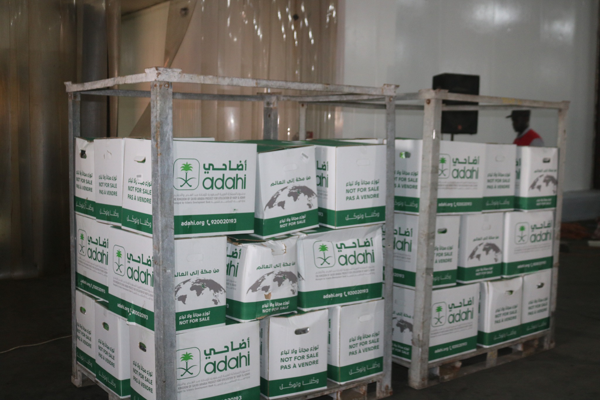 Don Saoudien Exceptionnel : 10 000 Moutons pour les Ménages Démunis du Sénégal